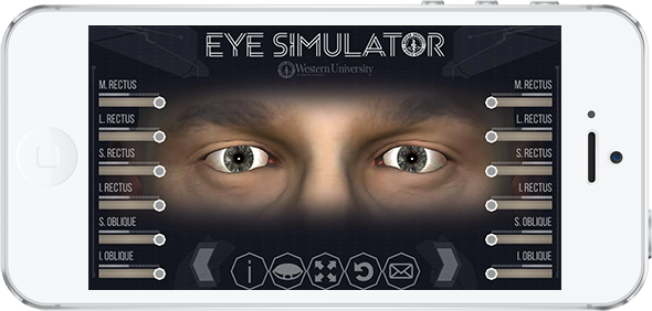 Eye Simulator eye simulator